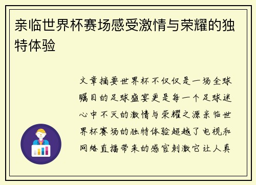 亲临世界杯赛场感受激情与荣耀的独特体验
